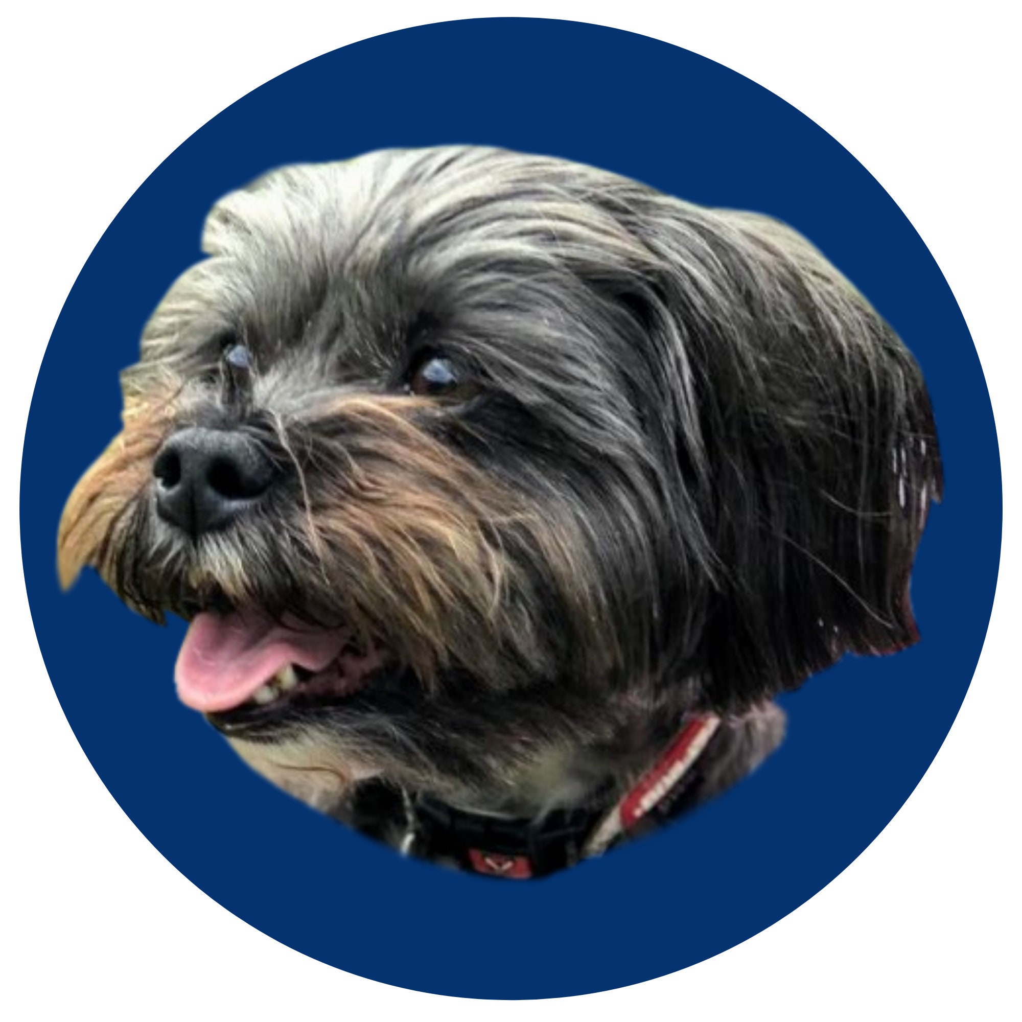 Dog golf ball marker mans best friend golf ball marker golf Etsy