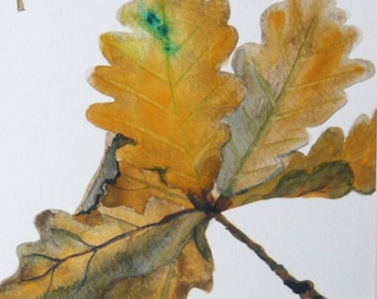 ORIGINAL - 'Oak Leaves i n Autumn' - watercolour painting
