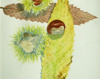 ORIGINAL - Chestnuts and Leaves Watercolour