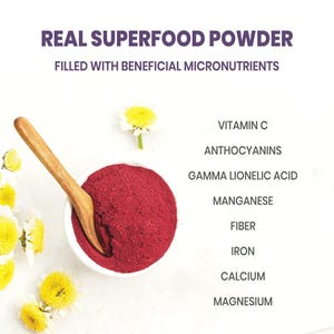 Jungle Powders Banana Essiccata Liofilizzata &ndash; 141g, 100% Frutta Naturale, Senza Zuccheri Aggiunti