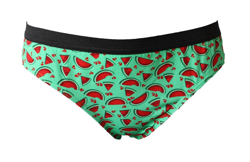 Bikini Watermelon women underwear Watermelon undies cute Etsy
