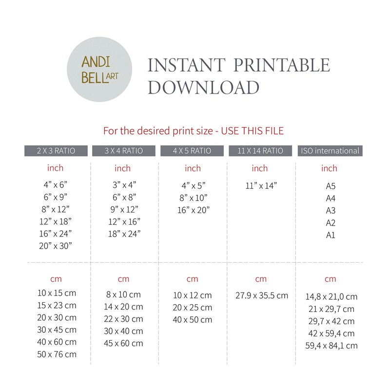 May include: A chart showing different print sizes in inches and centimetres for instant printable downloads. The chart includes 2x3, 3x4, 4x5, 11x14 ratios and ISO international sizes.