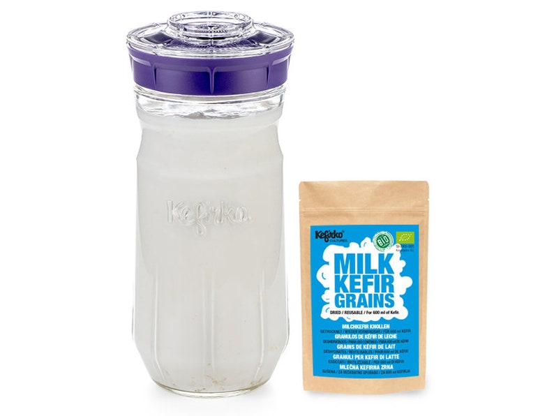 Kefir Making Kit, 1.4L with Organic Milk Kefir Grains Make Your own Probiotic Drinks at Home for Good Gut Health and Build Your Immunity Purple