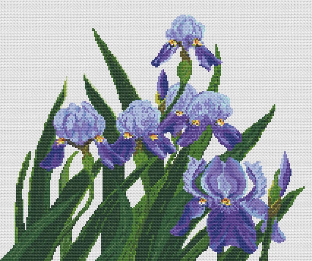 Irises Counted Cross Stitch PDF Pattern - Etsy