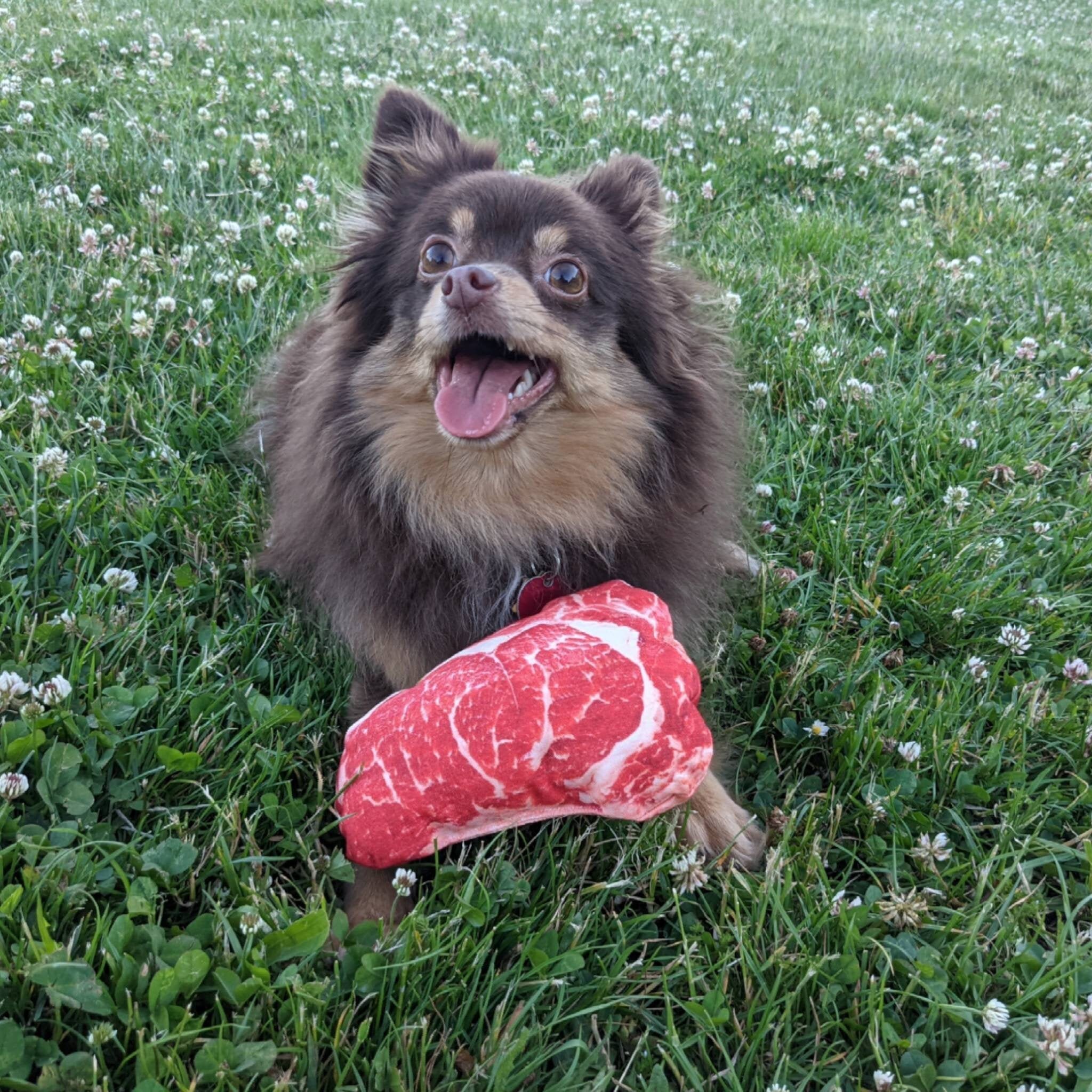 Steak dog toy Durable steak toy for dogs and puppies Etsy