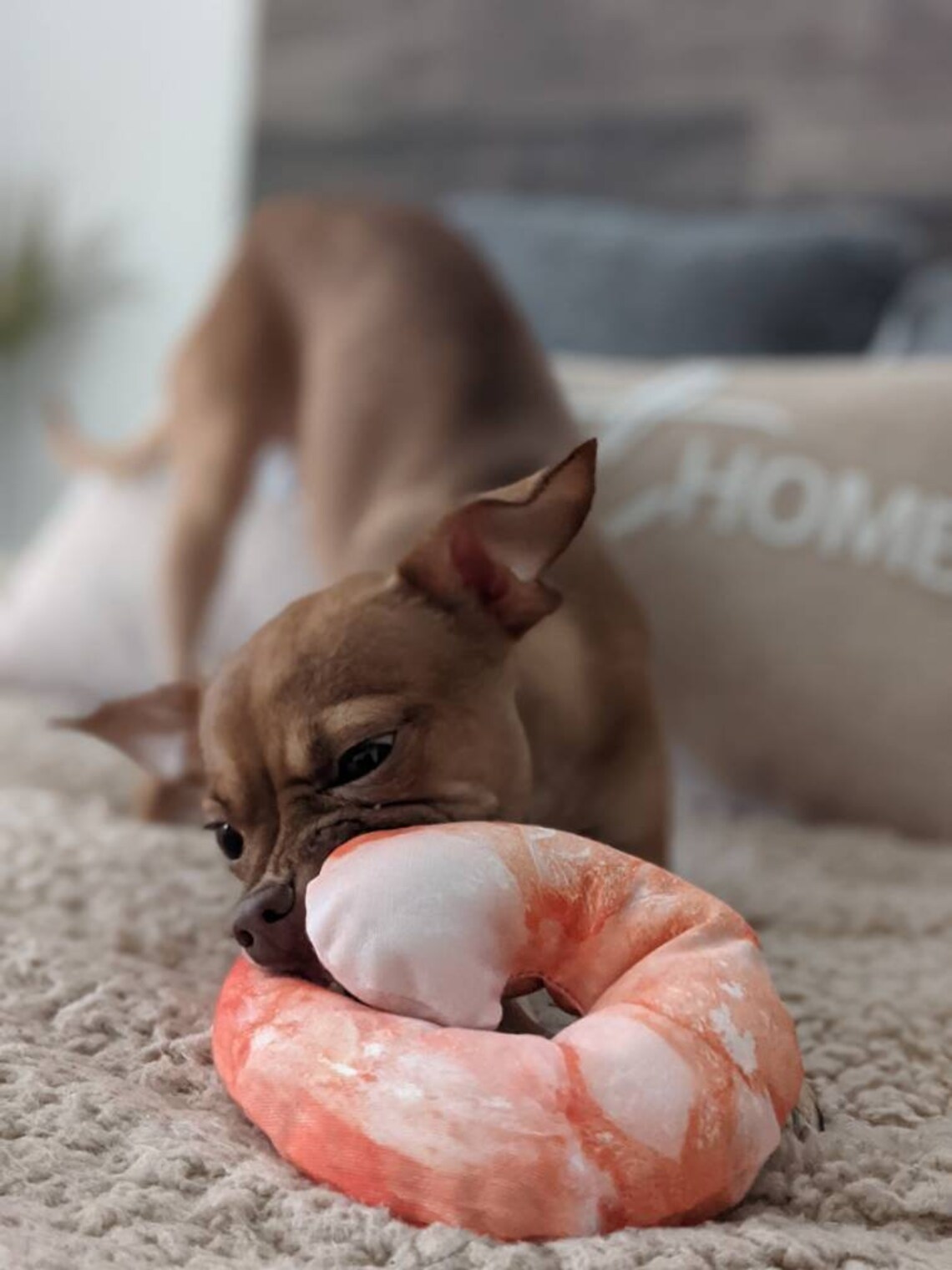 Hibachi Garnelen Spielzeug Lustige Haustier Geschenke Hund Etsy