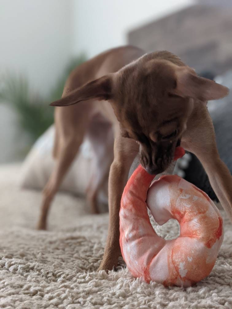 Hibachi Garnelen Spielzeug Lustige Haustier Geschenke Hund Etsy