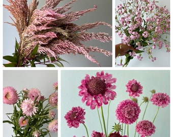 Seed Collection - pretty in pink - scabiosa, saponaria, strawflower, celosia blush vintage