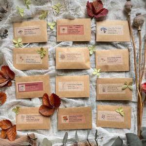 Pode incluir: Uma disposi&ccedil;&atilde;o de doze pequenos pacotes de sementes, cada um rotulado com o nome de uma flor e a marca "Petal & Twig", &eacute; exibida em uma superf&iacute;cie texturizada esbranqui&ccedil;ada. Folhas secas e galhos verdes est&atilde;o espalhados.
