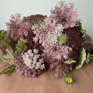 Pode incluir: Um conjunto de flores frescas e coloridas com flores delicadas e agrupadas. As flores exibem uma gama de cores, incluindo tons de branco, rosa e bord&ocirc; escuro. Caules e folhagens verdes adicionam contraste ao arranjo floral.