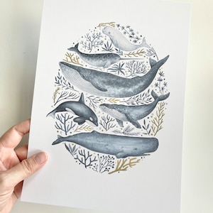 Può includere: Stampa ad acquerello raffigurante varie specie di balene, tra cui un beluga, un'orca e un capodoglio, disposte in una forma ovale con elementi di alghe e coralli. Le balene sono raffigurate in tonalità di grigio e blu, su sfondo bianco.