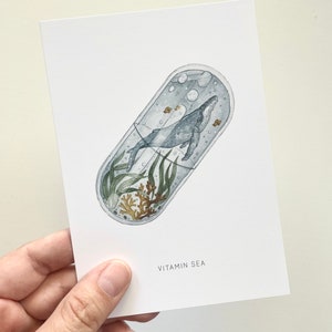 Könnte beinhalten: Eine weiße Postkarte mit einer Aquarellillustration eines Wals in einer Kapsel. Die Kapsel enthält Seetang, Korallen und kleine Fische. Der Text "VITAMIN SEA" ist darunter gedruckt.