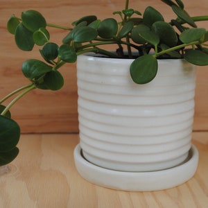 4" Glossy White Planter