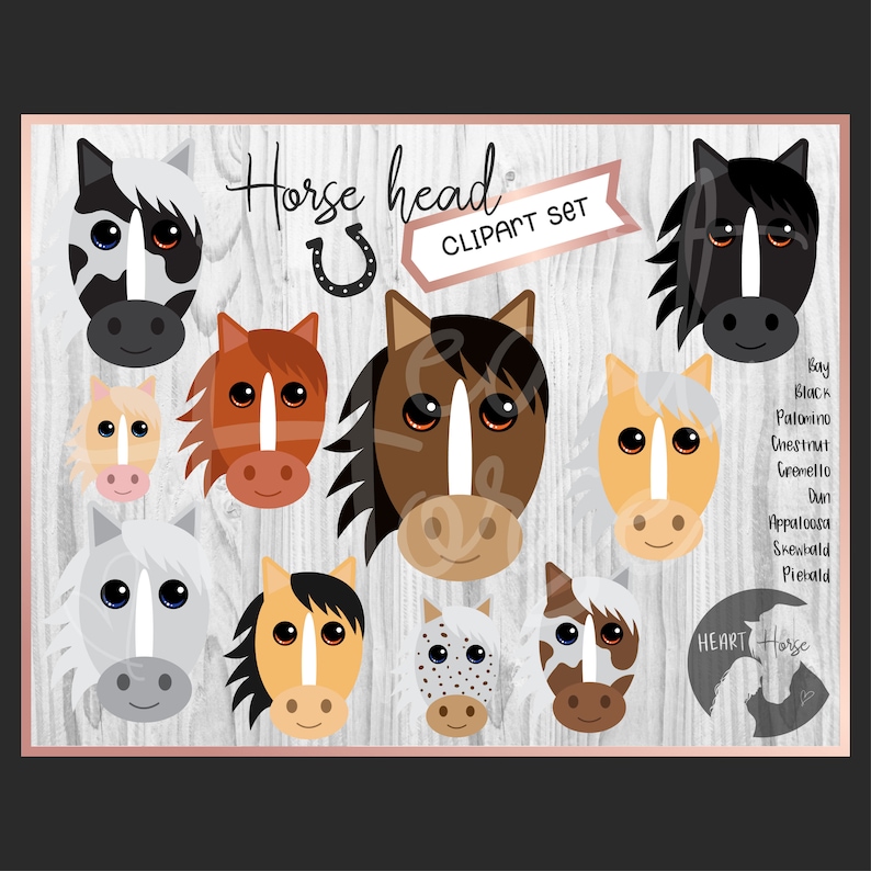 Horse head clipart set 20 files horse face horse cartoons