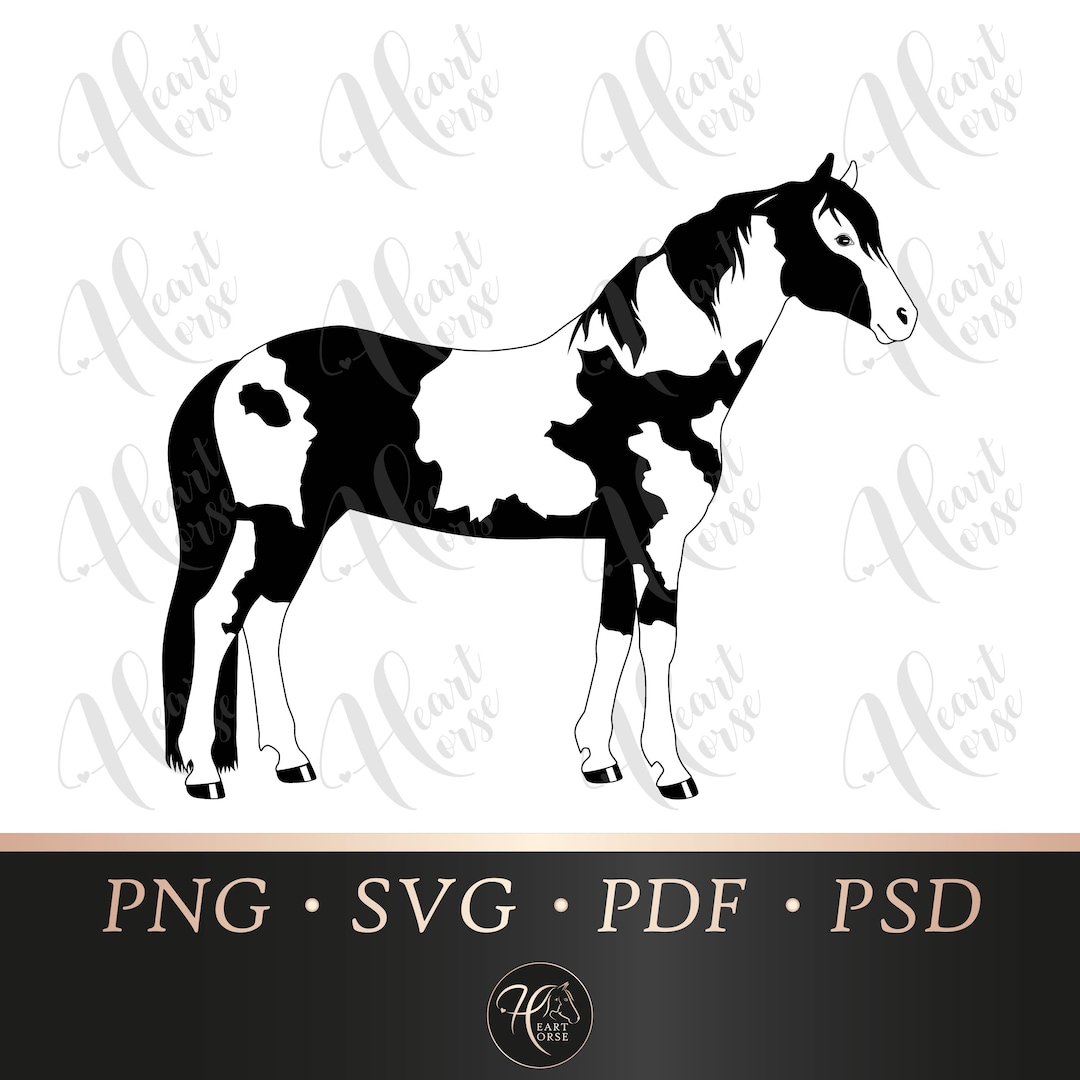 Paint Horse Svg Piebald Horse Svg Pinto Horse Svg Coloured Etsy Canada
