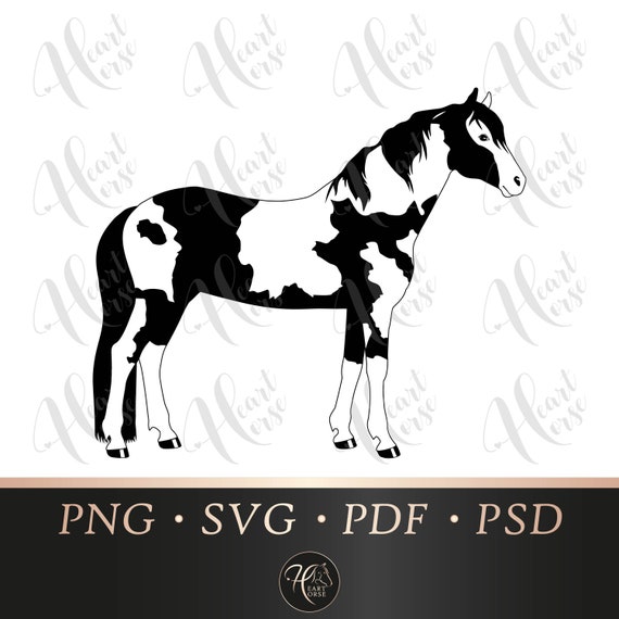 Download Paint Horse Svg Piebald Horse Svg Pinto Horse Svg Coloured Etsy