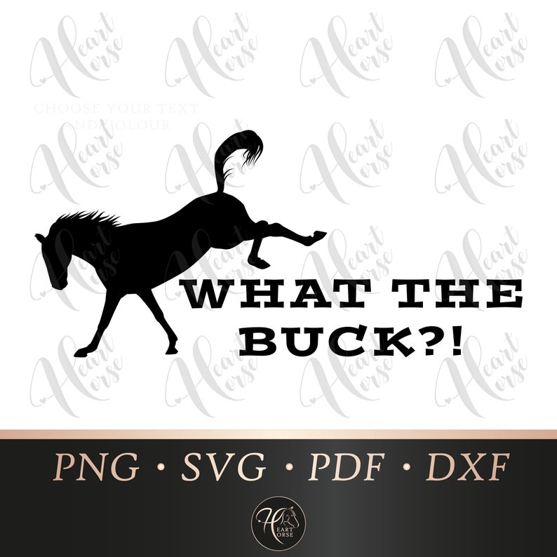 Download What the buck horse humour svg horse sayings funny | Etsy