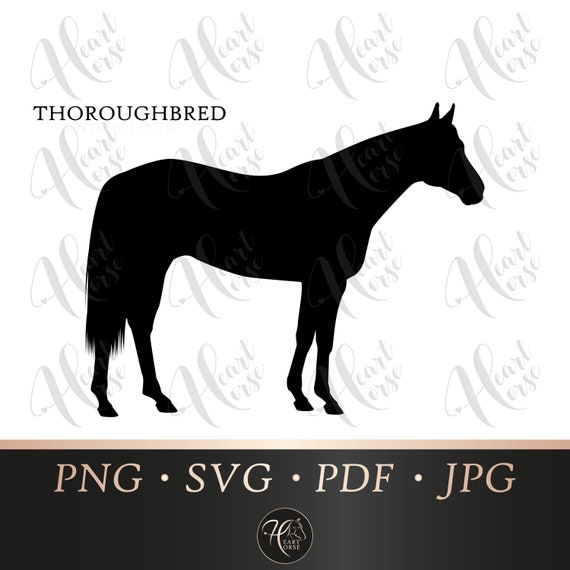 Download Thoroughbred Horse Svg Racehorse Svg Horse Silhouette Svg Etsy PSD Mockup Templates