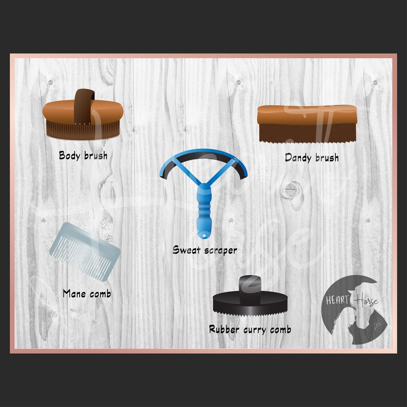 Horse Grooming Kit Clipart Set Horse Riding Images Etsy