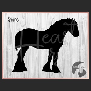 Shire horse silhouette svg, draft horse svg, draught horse svg, horse breeds svg, heavy horse silhouette svg