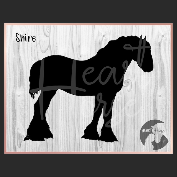 Shire horse silhouette svg, draft horse svg, draught horse svg, horse breeds svg, heavy horse silhouette svg