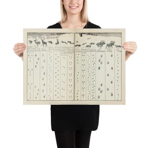 Old Animal Tracks in the Snow Diagram (1912) vintage Winter Wildlife Illustration Poster