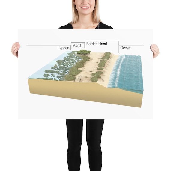 Barrier Island Diagram