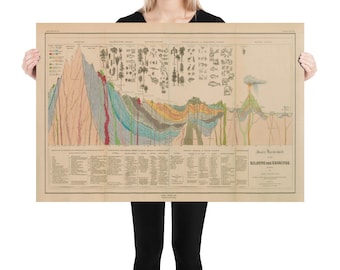 May include: A vintage educational chart depicting the geological history of the Earth. The chart shows various layers of rock formations, fossils, and plant and animal life from different geological periods. The chart is titled "Die Bildung der Erdrinde" in German, which translates to "The Formation of the Earth's Crust".