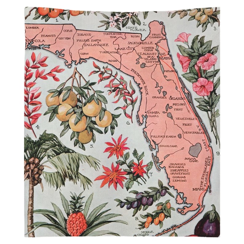 Vintage Florida Map Tapestry 1917 Vegetation Illustrative - Etsy
