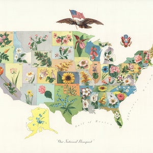 Vintage US Zustand Blume & botanische Karte digitaler Download