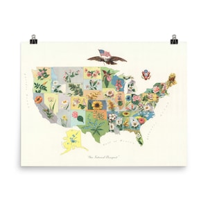 Vintage US State Flower & Botanical Map Poster