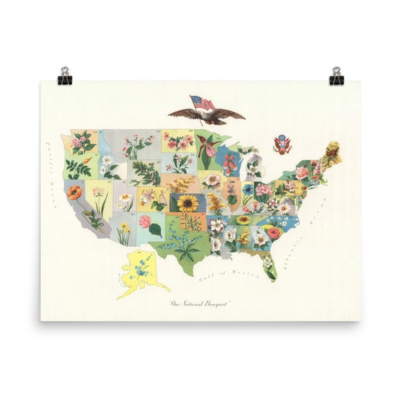 Vintage US State Flower /& Botanical Map Poster