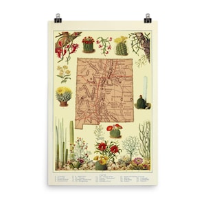 Jahrgang New Mexico Karte (1920) Vegetation, Kaktus & SaftGarten Poster