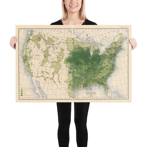 May include: A vintage map of the United States showing the distribution of forests in the late 19th century. The map is divided into different shades of green to indicate the density of forests. The map is titled "Distribution of Forests in the United States, 1880."  PLATE No. 38.
