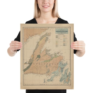 Carte géologique de l’île de Terre-Neuve (1875) Atlas géologique de la province canadienne d’époque