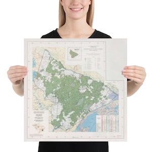 Francis Marion National Forest Karte (1981) South Carolina Natural Reserve Poster