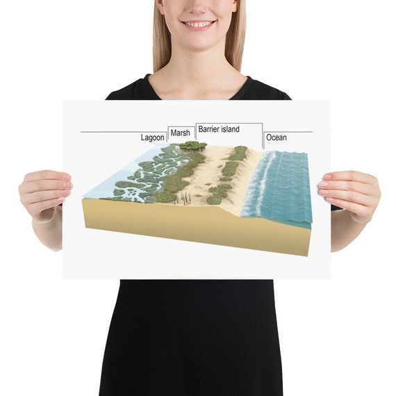 Barrier Island Diagram
