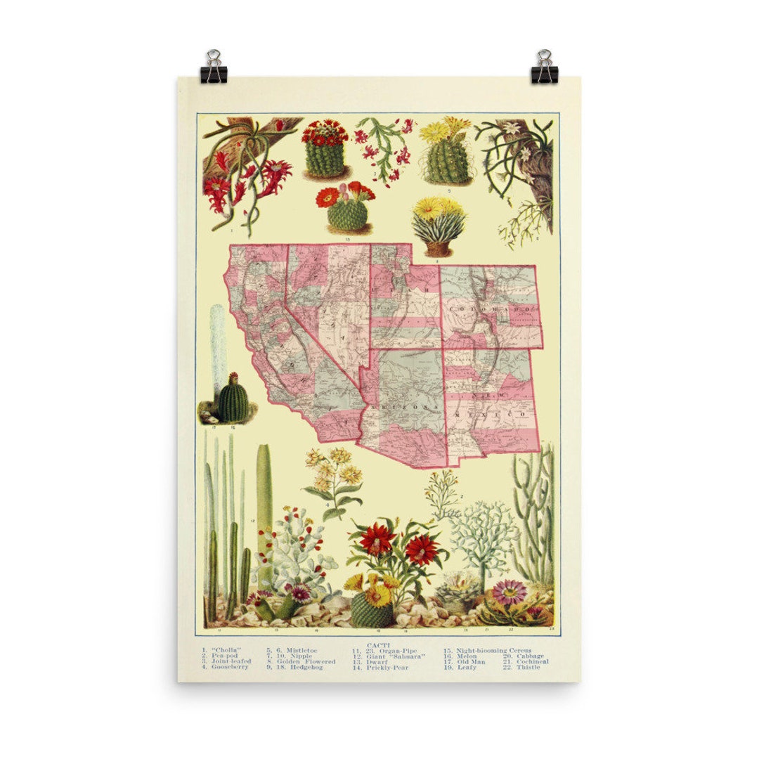 Vintage Southwest US Map (1920) Cactus & Desert Vegetation Atlas Poster ...