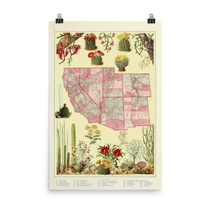 Vintage Southwest US Carte (1920) Cactus - Desert Vegetation Atlas Poster
