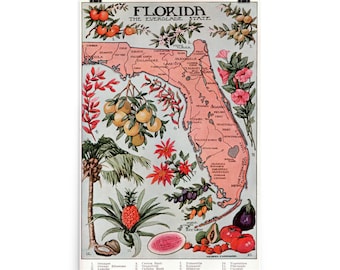 Vintage Florida Map (1917) Vegetation Illustrative Atlas Poster