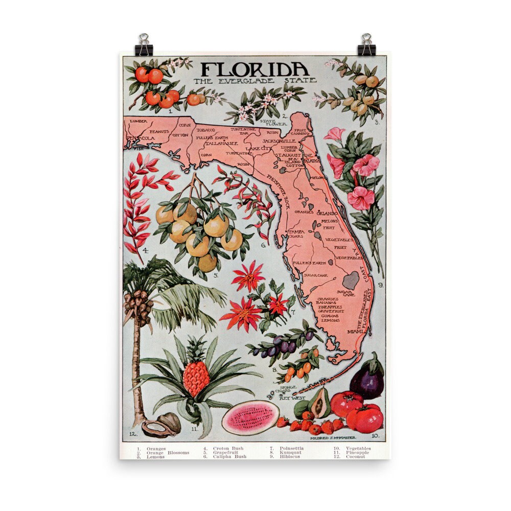 Vintage Florida Map (1917) Vegetation Illustrative Atlas Poster