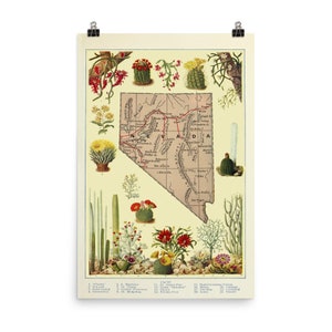 Vintage Nevada Map (1920) Cactus & Succulent Illustrative Atlas Poster