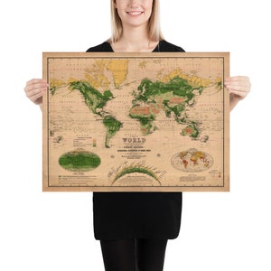 Oude Wereld Bos kaart (1916) Vintage Global Tree & Vegetatie Atlas Poster
