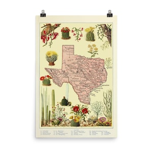 Jahrgang Texas Karte (1920) TX Garten & Kaktus Atlas Poster