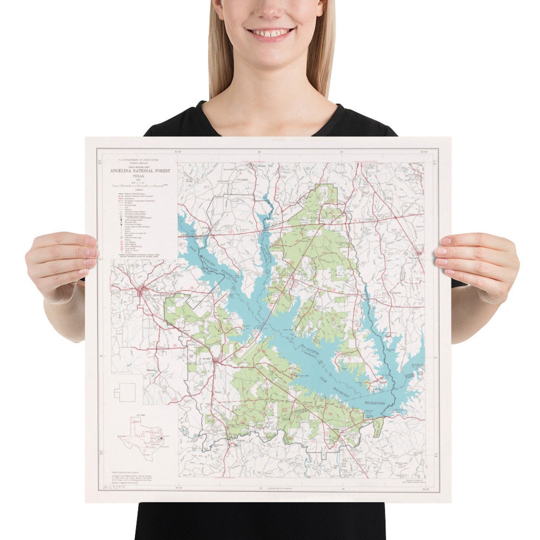 Angelina National Forest Map (1974) Vintage Texas Woodland Reserve