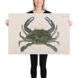 Vintage Chesapeake Blue Crab Illustrative Diagram (1844) Cartel