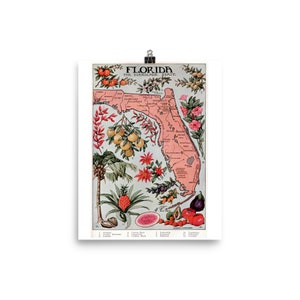 Vintage Florida Vegetation Map (1917) Fully Trimmed Poster