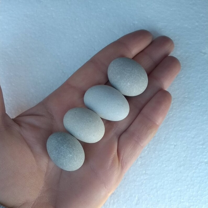 4 Miniature Egg Stones Small Eggshaped Sea Stones Easter Etsy