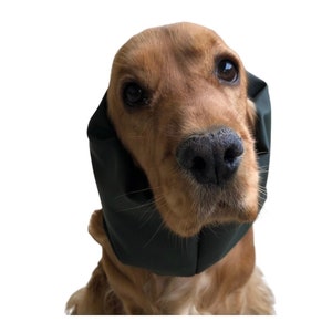 Tour de cou imperméable pour chien Protège les longues oreilles de votre chien de la pluie, de la neige et de la saleté, prévenant les otites et autres otites image 2