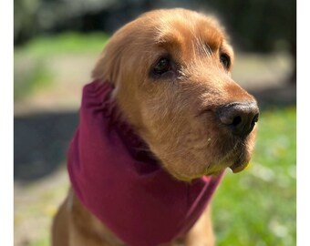 Scaldacollo per cani in jersey effetto denim / Scaldacollo estivo per cani, Protegge le orecchie lunghe del tuo cane dallo sporco e dai semi d'erba prevenendo otiti e infezioni